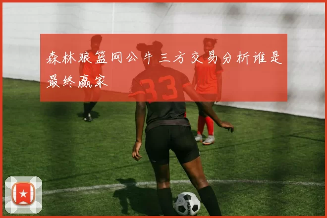 森林狼篮网公牛三方交易分析谁是最终赢家